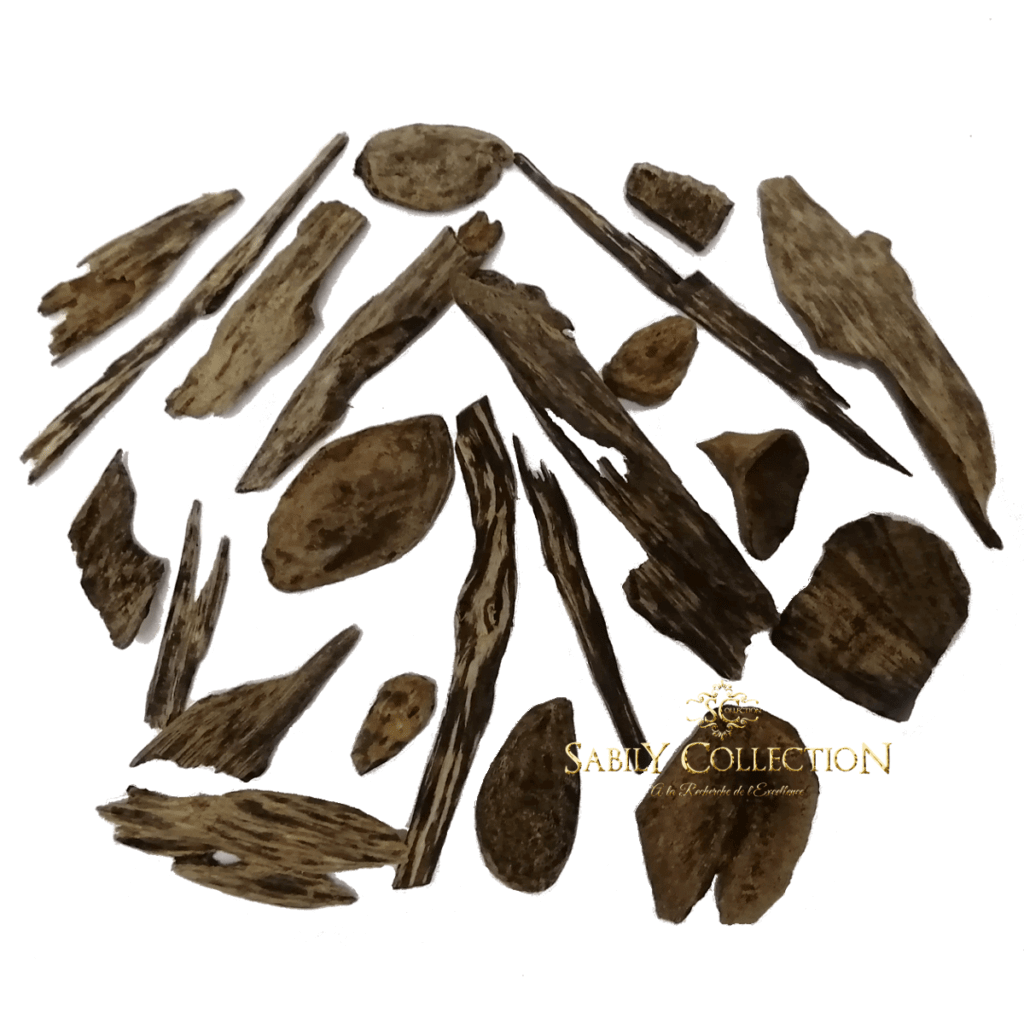 Wild Oud Chips Philippines Agarwood Grade Sinking Sabily Collection Oud
