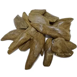Wild Oud Chips Merauke Asgon Agarwood Indonesia Grade Super