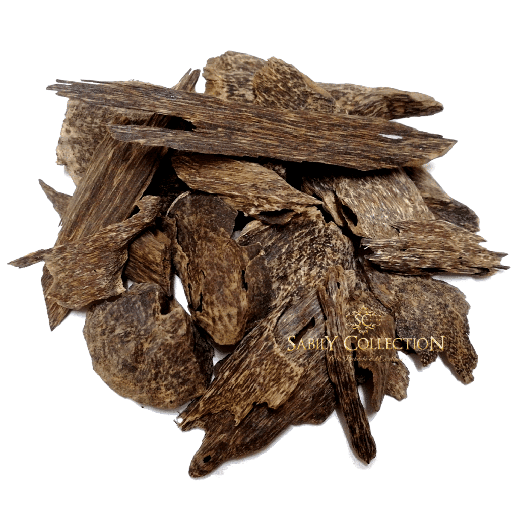 Wild Oud Chips Bangka Belitung Agarwood Grade Super Indonesia (New
