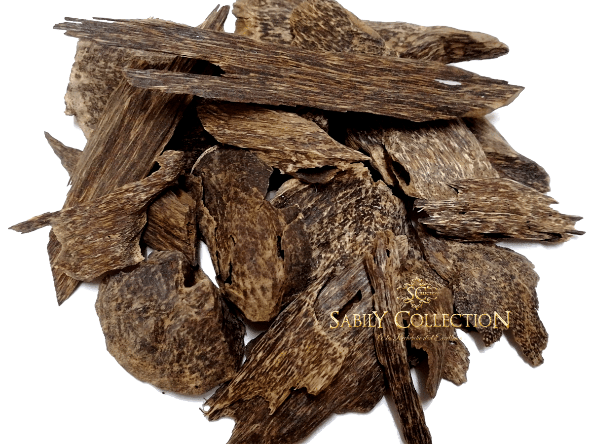 Wild Oud Chips Bangka Belitung Agarwood Grade Super Indonesia Sabily Collection Wild Oud Chips Bangka Belitung Agarwood Grade Super Indonesia Sabily Collection