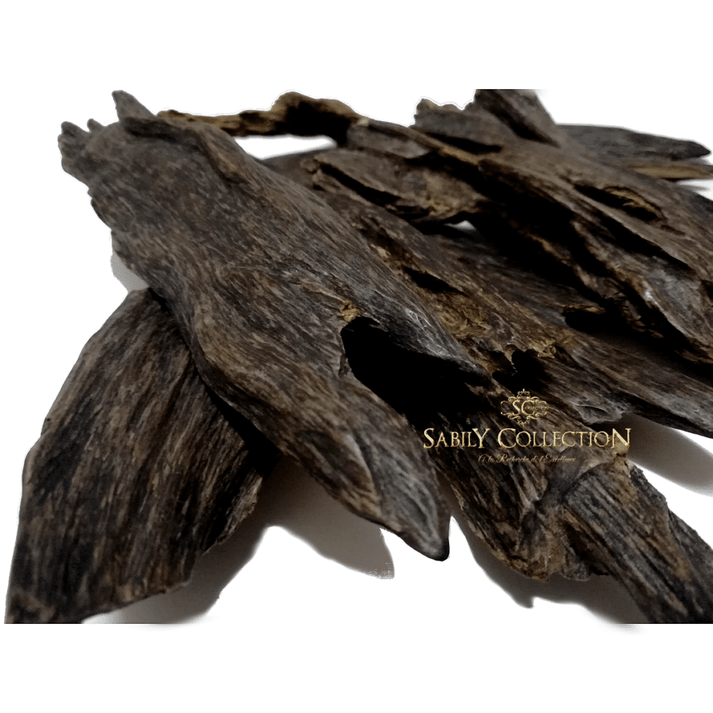 Wild Oud Chips Sulawesi Marisa Agarwood Indonesia Triple Super Grade