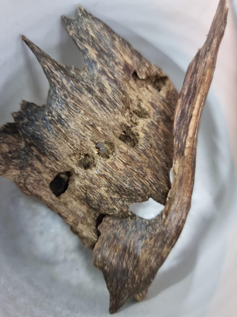 Image #1 from Al-Husain Al Qabtan