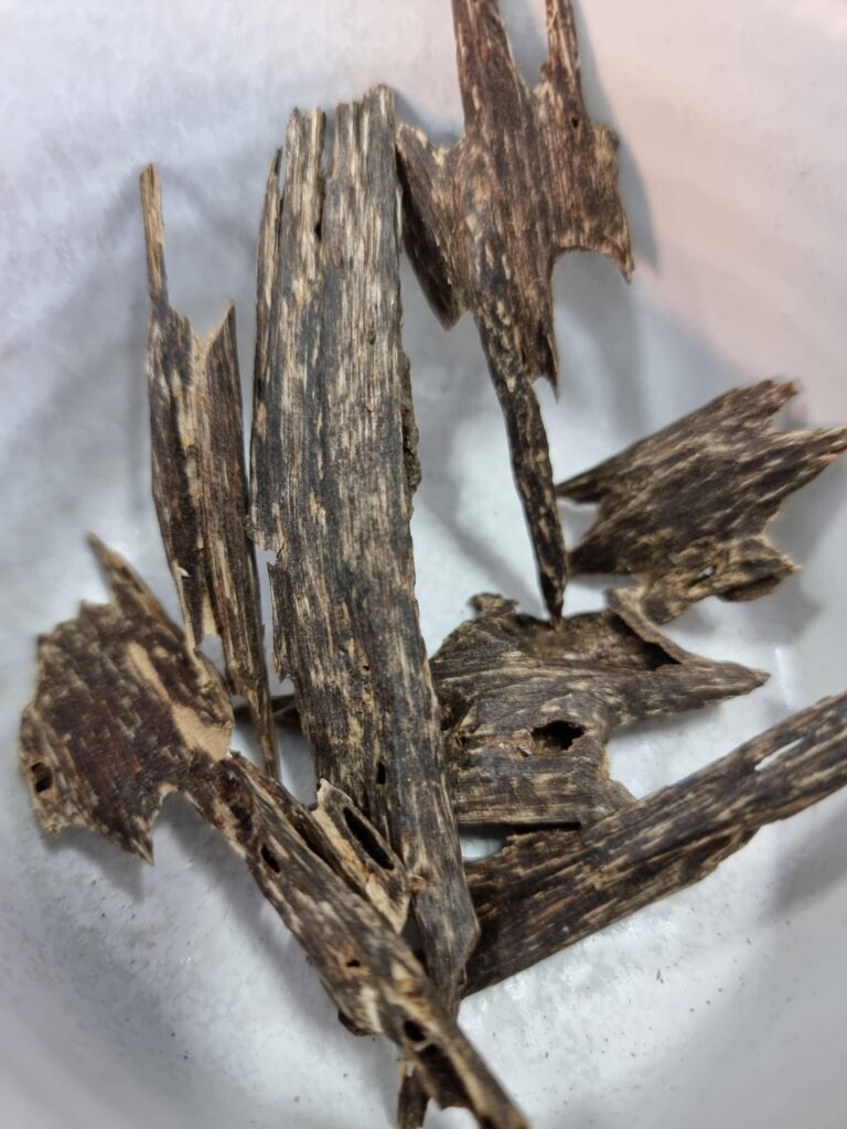 Image #1 from Al-Husain Al Qabtan