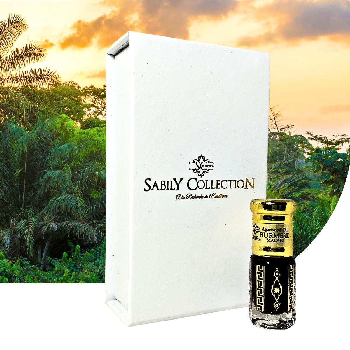 Huile de Oud Royal Birmanie Âgée 2022 (Grade Malaki) Pure Bois d’Agar Dehn Al Oud Origine Burmi