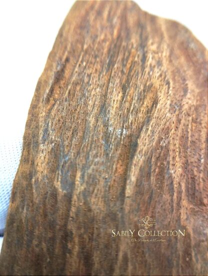 Wild Oud Chips Agarwood Burmese Myitkyina (Old Oud Burmi King) - Image 11