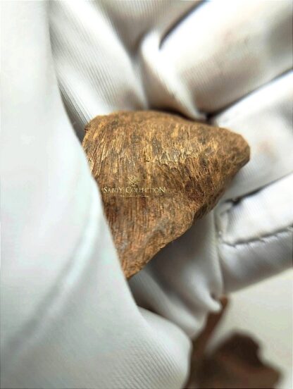 Wild Oud Chips Agarwood Burmese Myitkyina (Old Oud Burmi King) - Image 6