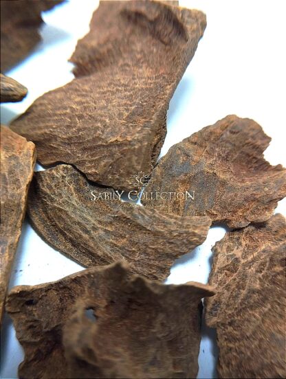 Wild Oud Chips Agarwood Burmese Myitkyina (Old Oud Burmi King) - Image 4