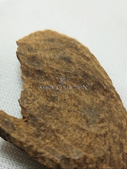 Wild Oud Chips Agarwood Burmese Myitkyina (Old Oud Burmi King) - Image 13