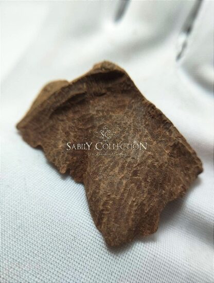 Wild Oud Chips Agarwood Burmese Myitkyina (Old Oud Burmi King) - Image 3