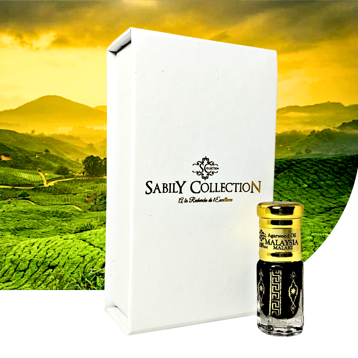 Huile de Oud Malaisie Terengganu Âgée 2020 (Grade Malaki) Pure Bois d’Agar Dehn al Oud Origine Malaisie