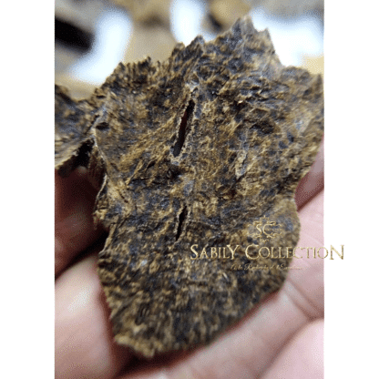 Wild Oud Chips Cambodia Pursat Agarwood Grade Triple Super - Image 3