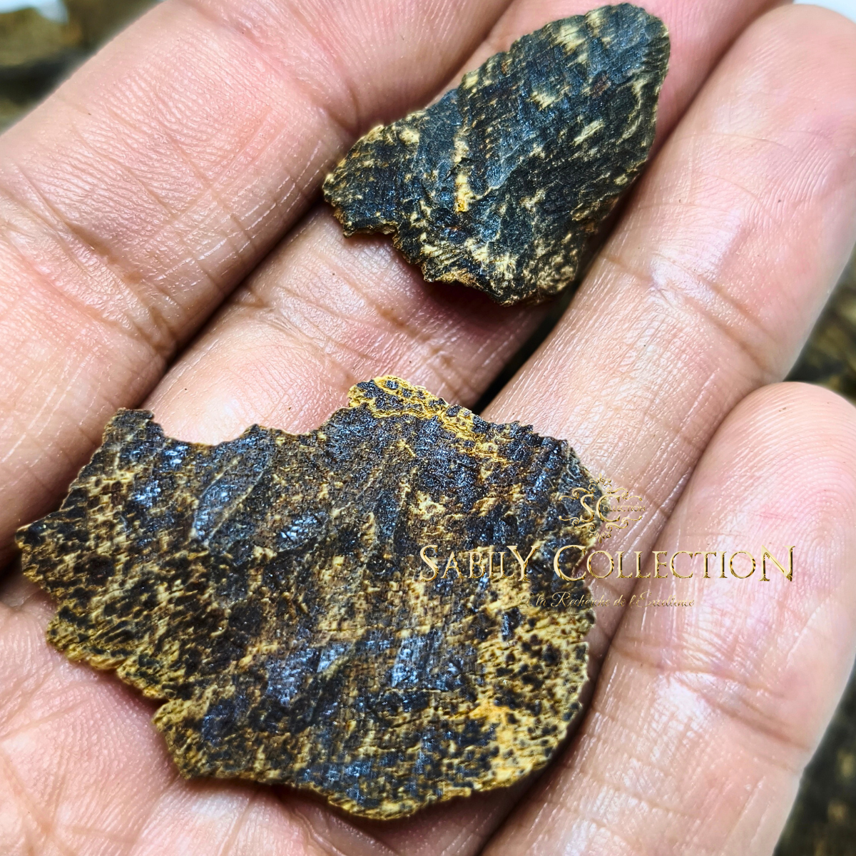 Oud Cambodge Pursat Bois d’Agar Sauvage Grade Triple Super – Image 2