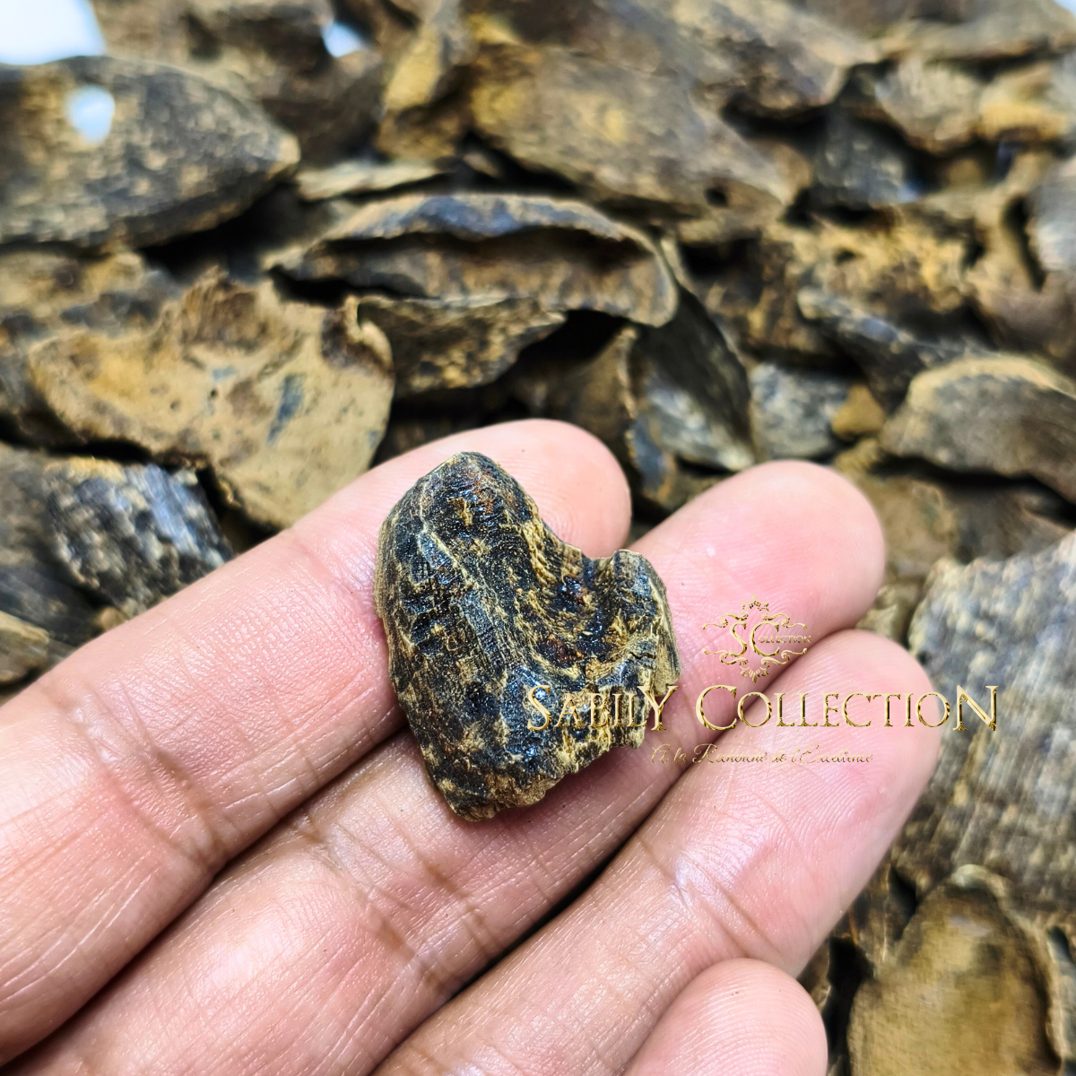 Oud Cambodge Pursat Bois d’Agar Sauvage Grade Triple Super – Image 4