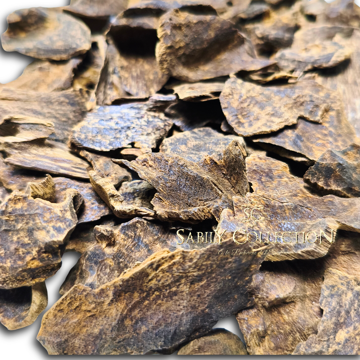Oud Cambodge Pursat Bois d’Agar Sauvage Grade Triple Super – Image 5