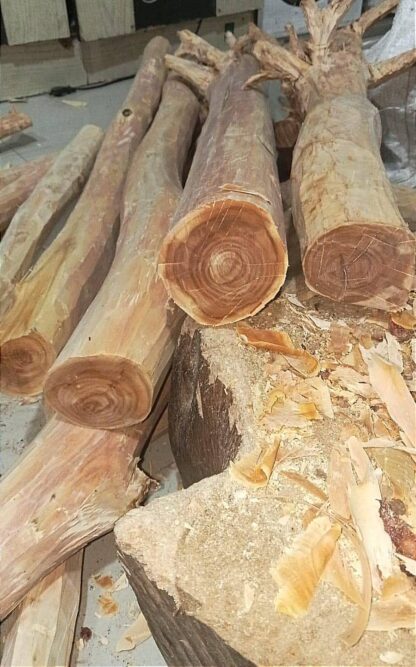 Pure Organic Artisan Sandalwood Essential Oil Indonesia (East Nusa Tenggara) – Therapeutic Grade for Skin and Aromatherapy - Image 3