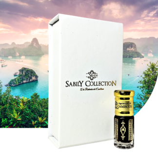 Huile de Oud Bois d’Agar Golden Cambodi Pursat Âgée 2023 (Grade Malaki) Pure Dehn Al Oud Origine Cambodge