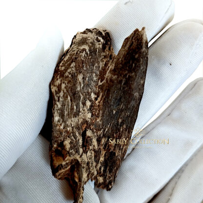 Wild Oud Chips Malaysia Perak Hirta Agarwood Sinking Grade (Ant Oud) - Image 3