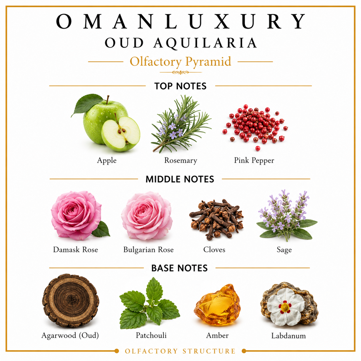 OmanLuxury Oud Aquilaria 10ml Decant - Image 2