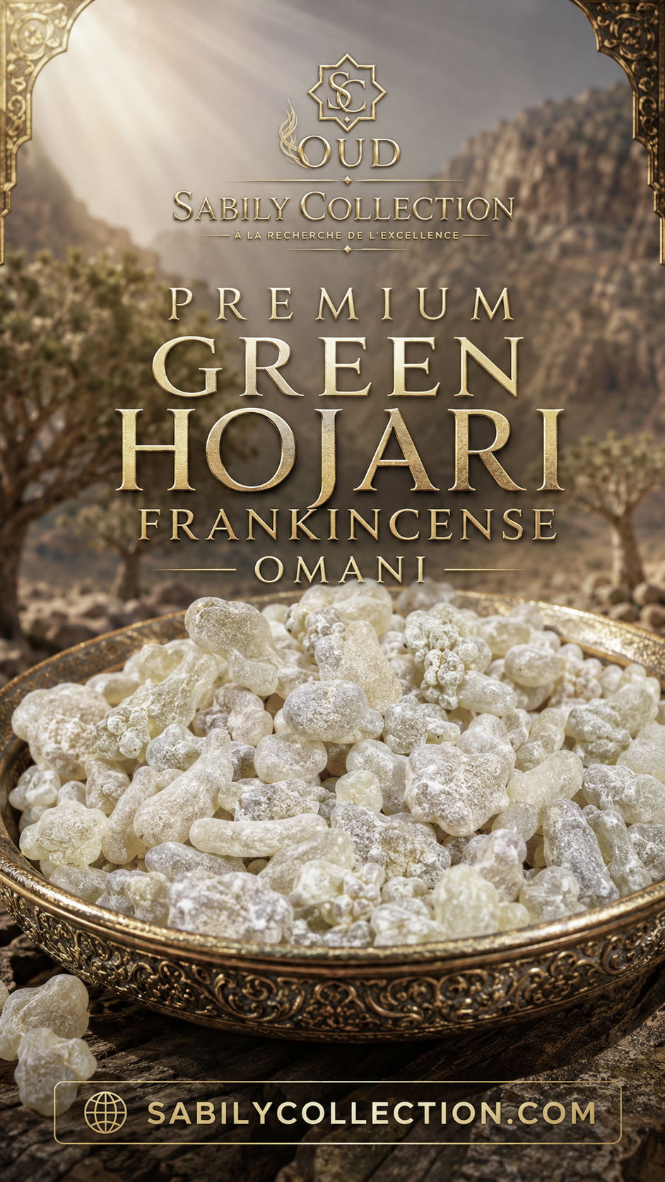 Premium Frankincense Royal Hojari Green Boswellia Sacra Oman - The Purest Omani Incense for Spiritual Serenity - Image 3