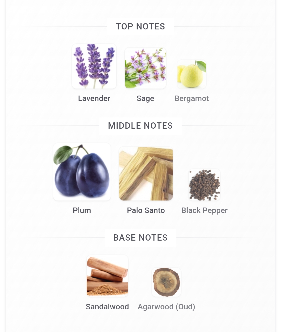 Initio Paragon 10ml Decant - Image 3