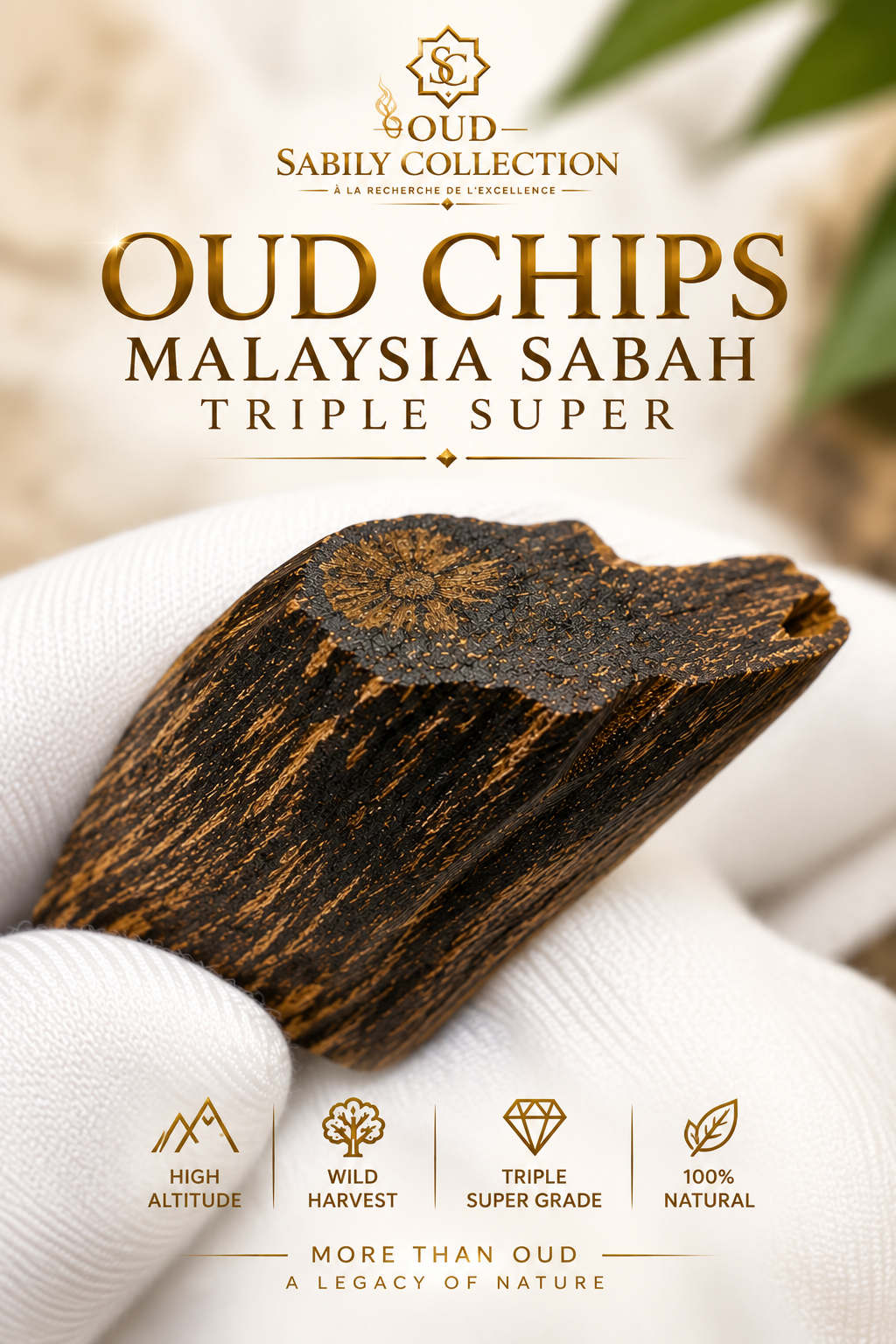 Wild Oud Chips Malaysia Sabah Agarwood Grade Triple Super - Image 2