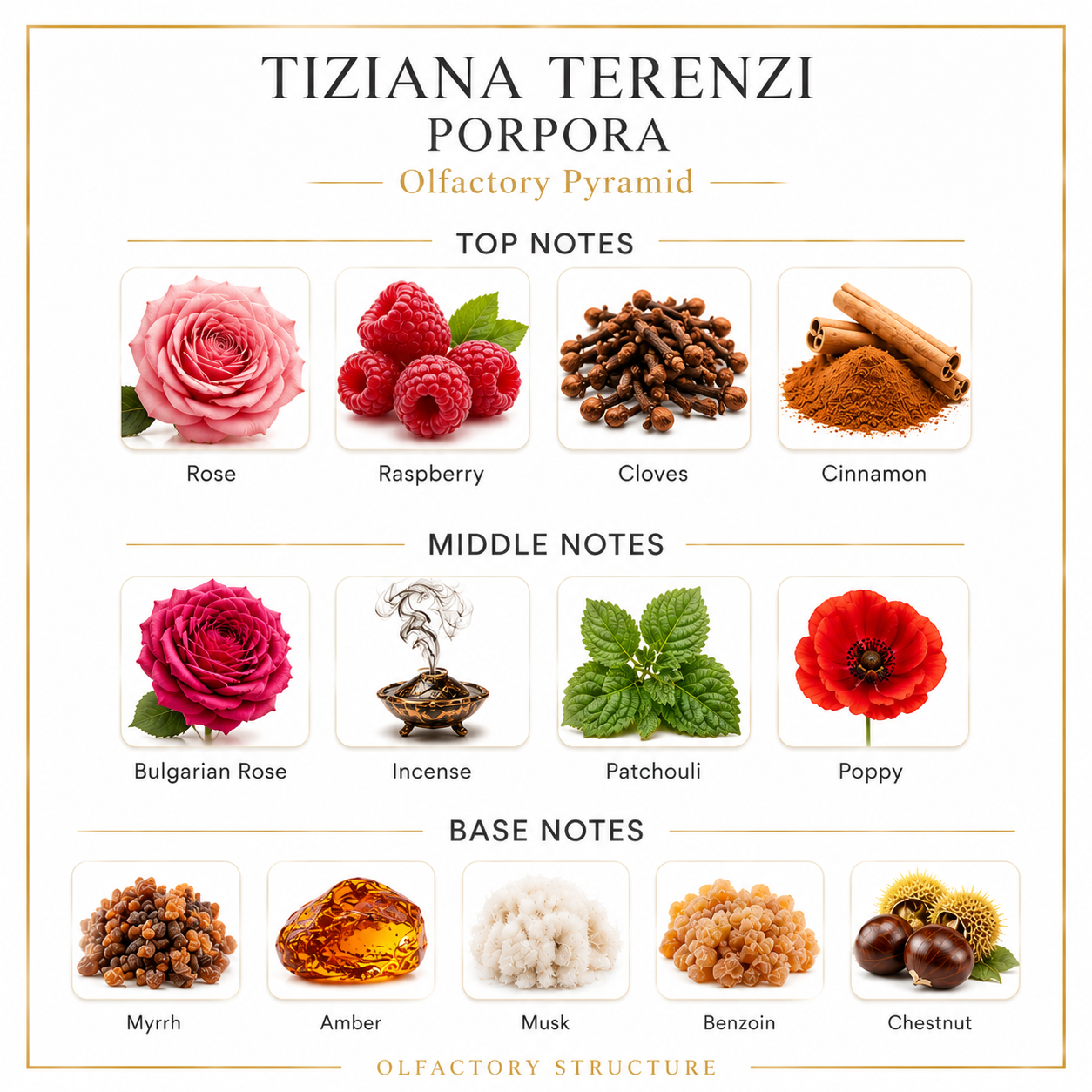 Tiziana Terenzi Porpora 10ml Decant - Image 2